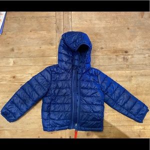 Primary Toddler Puffer Jacket in Cobalt Blue Size 2